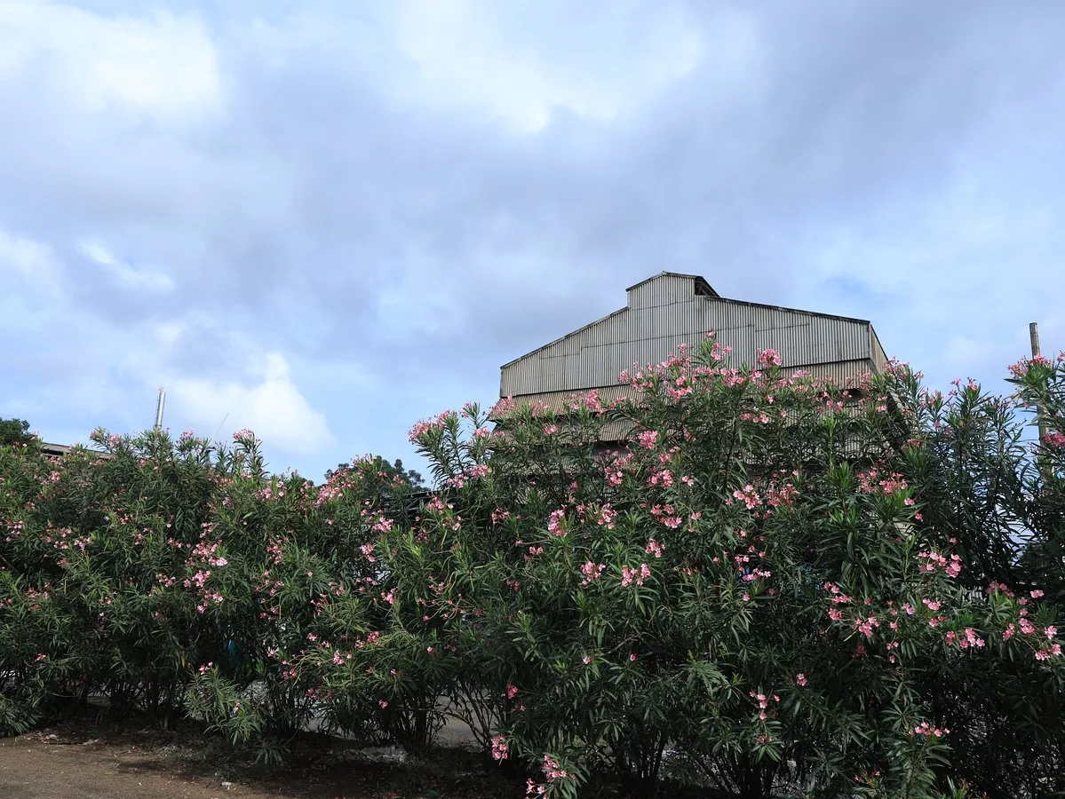 Ferrosco Industries plant — Palavoor, Tirunelveli